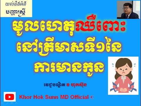មូលហេតុឈឺពោះនៅត្រីមាសទី១នៃការមានកូន/Causes of abdominal pain during 1st Trimest l Khor Hok Sunn MD