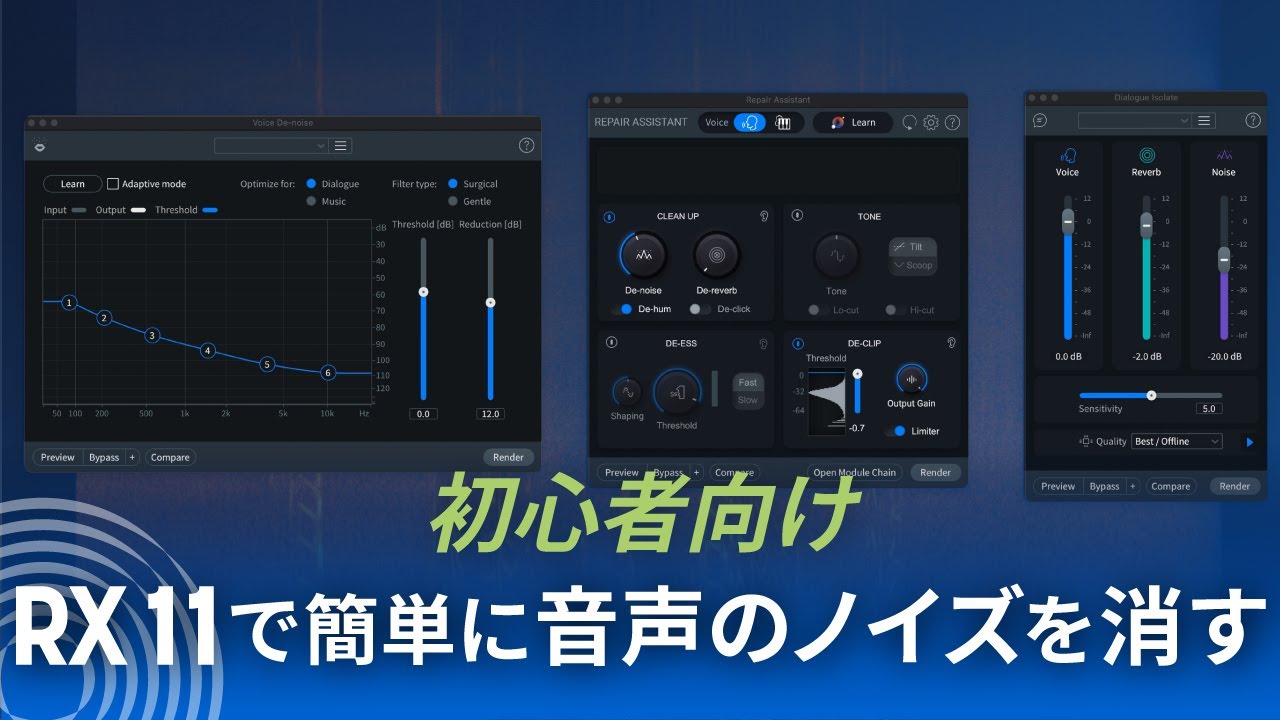 ビデオノイズ除去 Rx-6000 初心者向け RX 11で簡単に音声のノイズを消す - YouTube