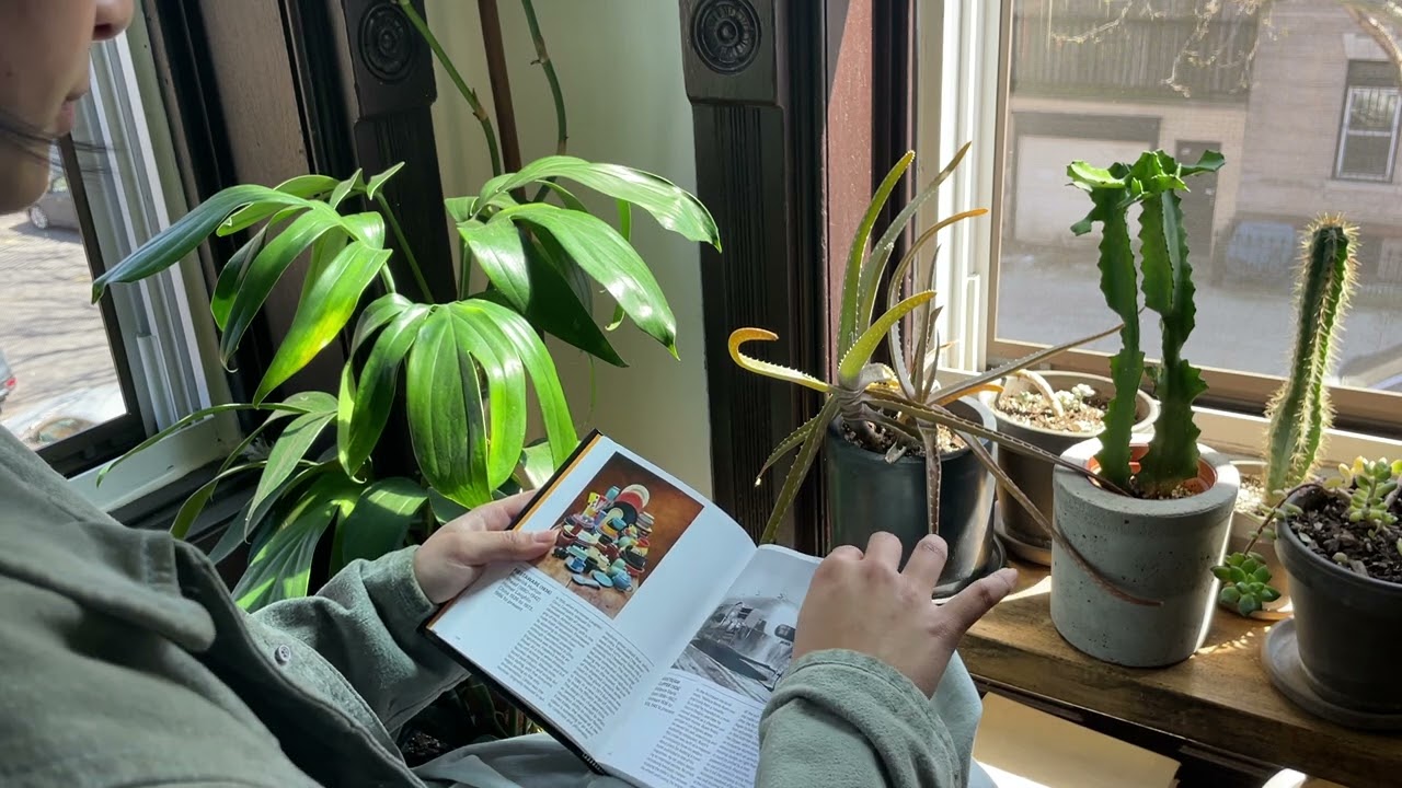 Page Turning Video: The Design Book by Phaidon