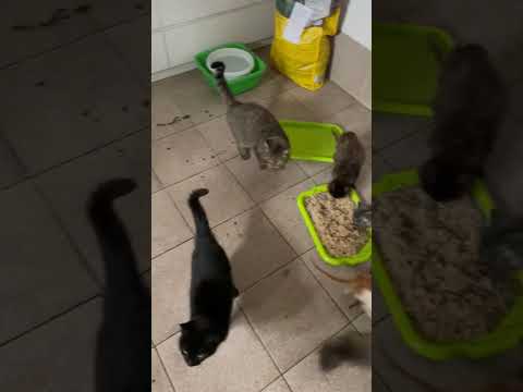 Video: Over 30 Days in a Basement (1)