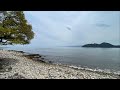 【宮津からこんにちは！】海沿いのリゾート物件を建築したい人必見の土地を紹介します！
