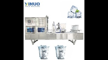 PET Ice Cup Filling and Sealing Machine | Automatic Ice Cup Packaging Solution