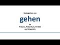 Irregular Verbs: Haben, Sein, Gehen  Super Easy German ...