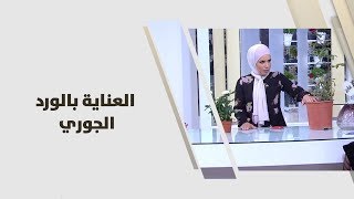أمل القيمري - العناية بالورد الجوري