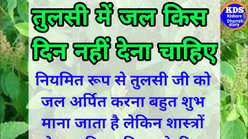 तुलसी में जल किस दिन नहीं देना चाहिए।Why जल is Not Given in Tulsi on sunday@kishoredharmikstory