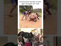 🤣👌2026 pov Must-Watch Crazy Clips Compilation #humor #fypシ #pov #fyp #foryou 😍😜