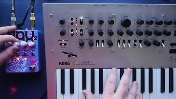 Dwarfcraft Hax 2 and Korg Minilogue team up