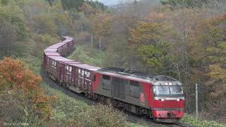 2019.10.17 撮影　常紋峠 紅葉　石北貨物 玉ねぎ列車　☆北鉄路漫602