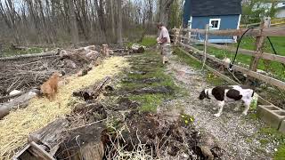 Planting Pumpkins - New Pumpkin Patch - Dill’s Giant Pumpkins and Jack O’ Lanterns