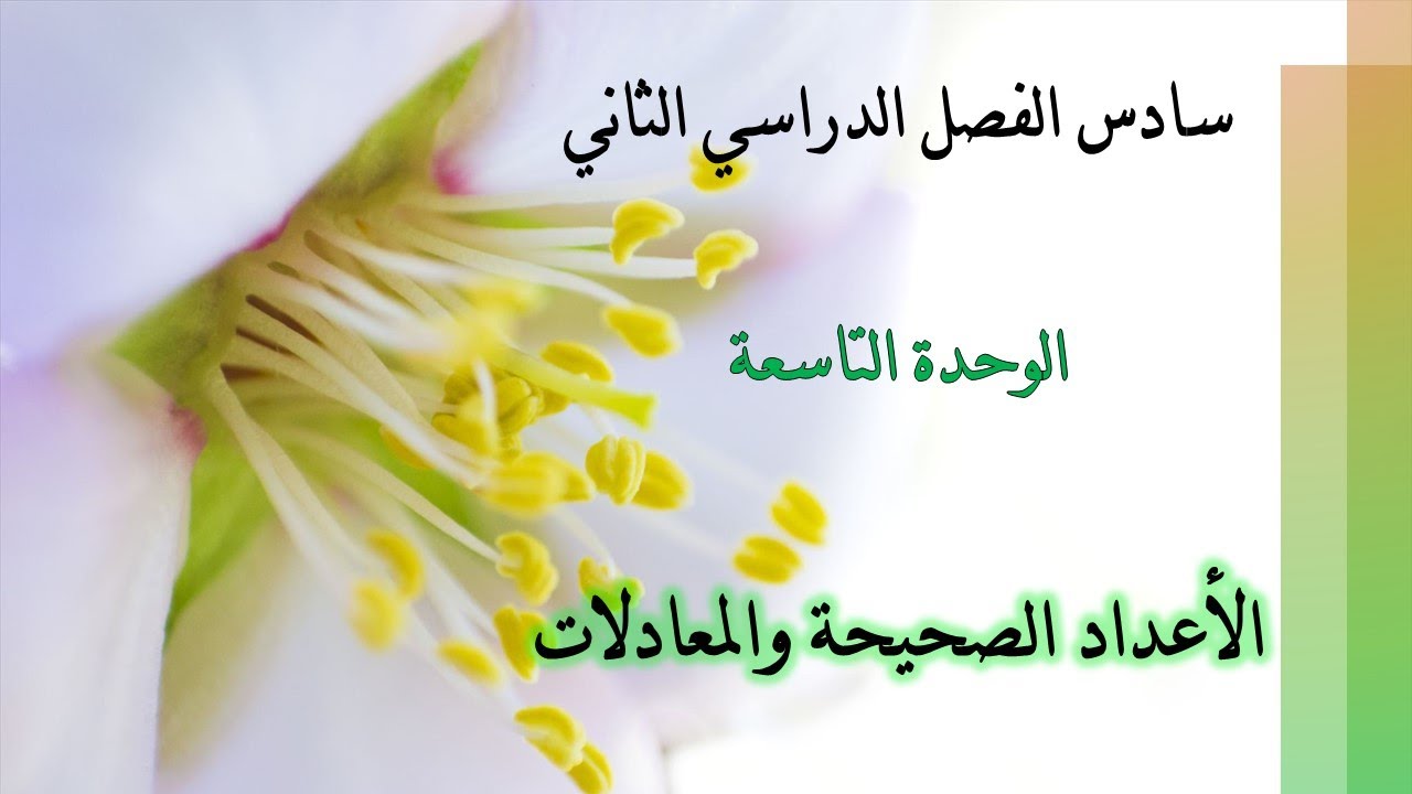 مراجعة الوحدة التاسعة/ للصف السادس/ للفصل الدراسي الثاني/ منهج الكويت/ رياضيات