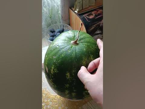 #арбуз #ягода #дагестанскийарбуз #класс #сочный #ароматный #вкусный ...