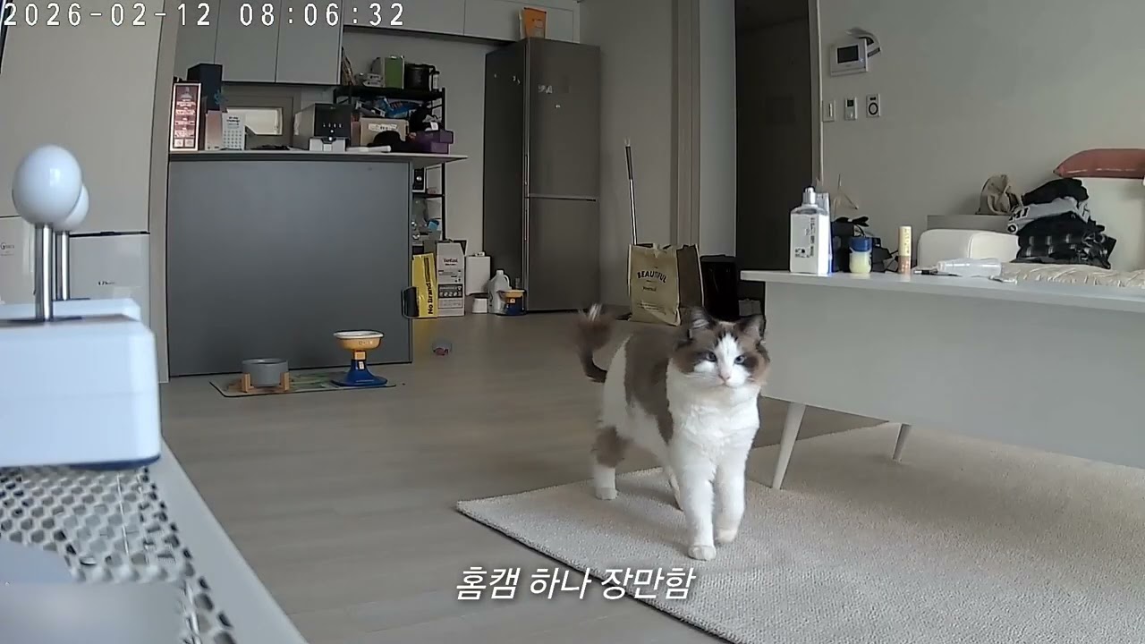 겨울이의 하루 루틴 최초 공개!