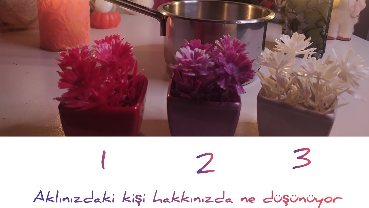 Suya baktım |Aklınızdaki kişi hakkınızda ne düşünüyor| Deste seç