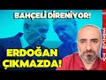 Erdoan kmaza girdi devlet baheliyi kna edemiyor smail saymaz byk krizi aklad