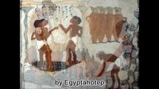 Egypt 117 - Agriculture Farming Ancient Egypt 715 By Egyptahotep