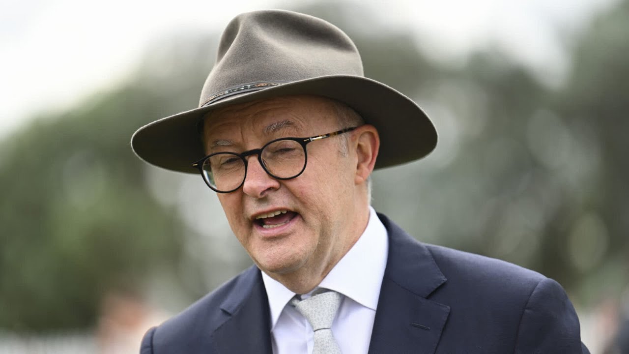 Albanese has not had an ‘original thought in his parliamentary career’: Hadley