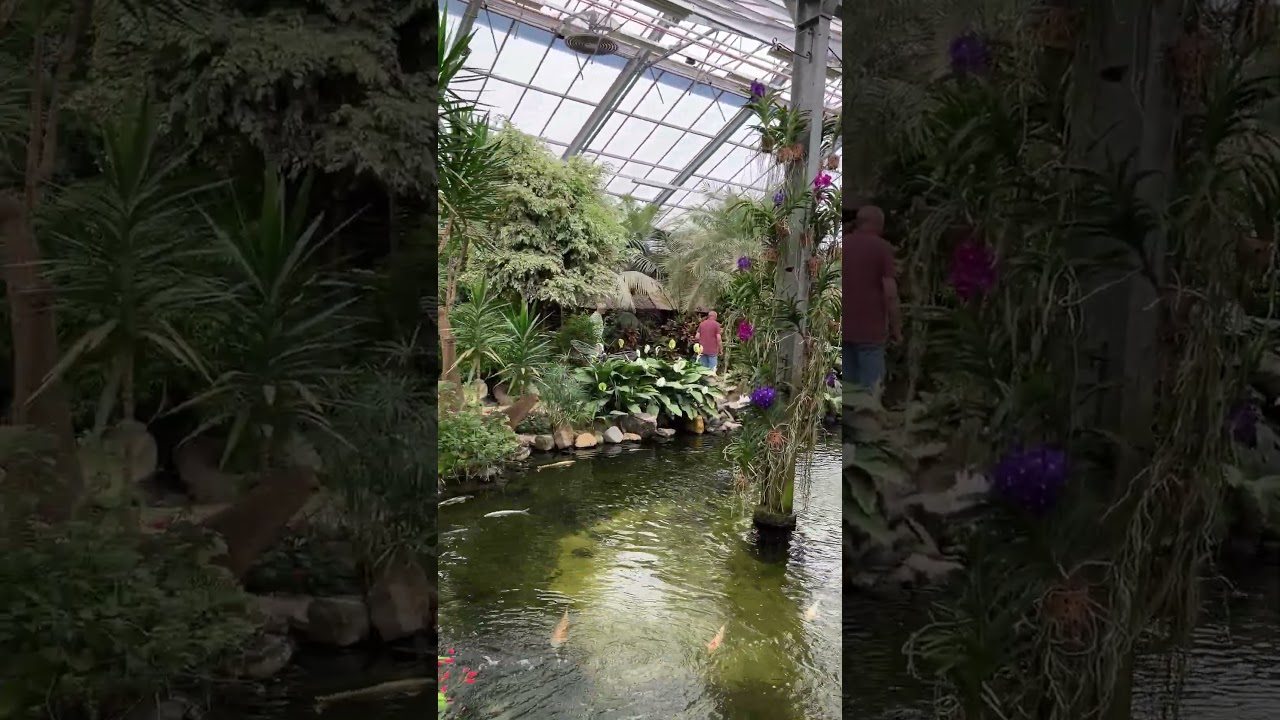 Coming Next in Ep.1 from Pantropica