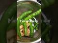 ghar ka khaana lunch series day 2/10 @hnsiksharma