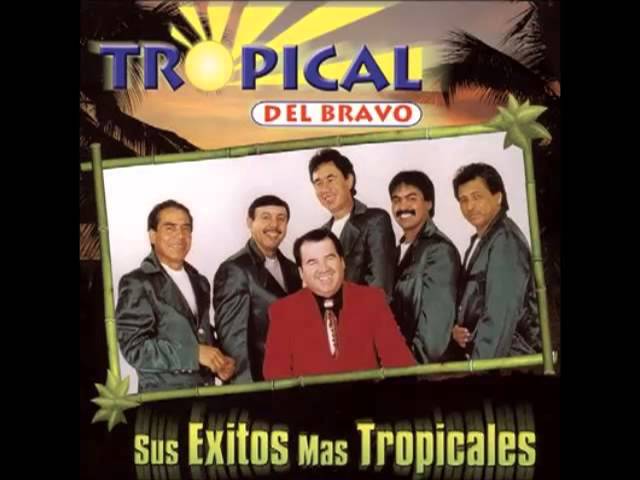 Tropical Del Bravo - El Cafetal