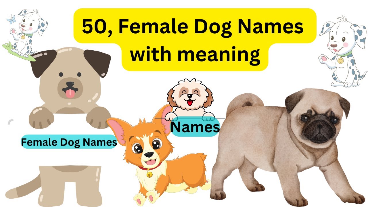 50 Female Names Starting With D A Comprehensive List YouTube 50 Female Names Starting With D A Comprehensive List YouTube