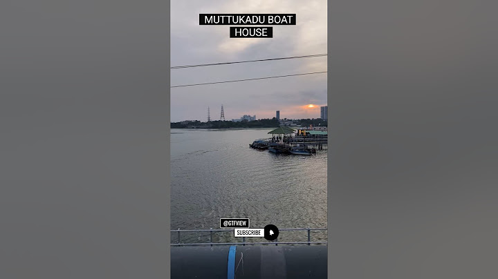 Muttukadu Boat House #muttukadu #trendingshorts #travelvlog #boathouse #trending #travel