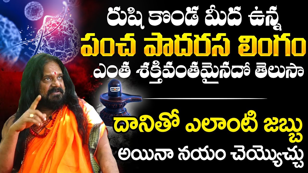 Sri Sri Sri Yogi Prabhakar Guruji About Rushikonda | Yogi Prabhakar Guruji  | NewsQube
