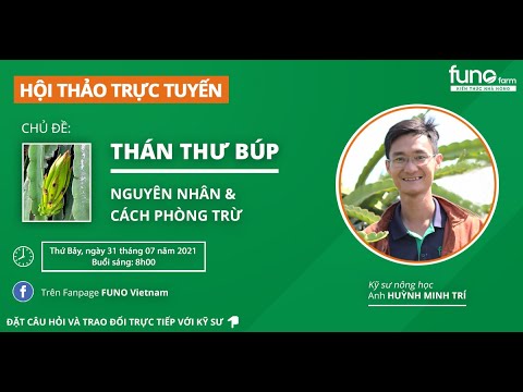 Video: Nguyên nhân gây ra bệnh Canker do vi khuẩn ở đào - Điều trị các triệu chứng do vi khuẩn gây ra trên quả đào