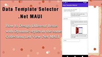 Data Template Selector .Net MAUI -Select different styles dynamically for Collection/List View items