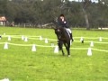 Stallion luda lacroix dressage highlights at avenel ht sept 2010