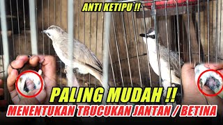 PALING MUDAH! Cara Menentukan Trucukan Jantan dan Betina Dewasa