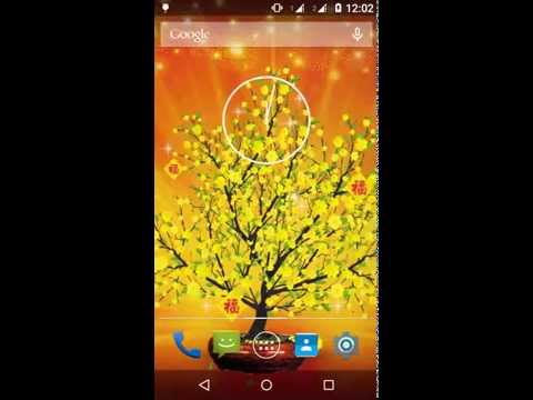 Mai Tet Live Wallpaper