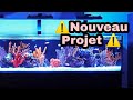 Mon nouveau projet shallow reef