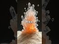The Secret Life of Sand: Microscopic Wonders Uncovered!