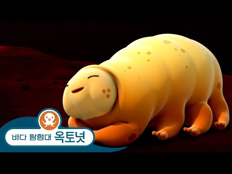 바다 탐험대 옥토넛 - <strong>물곰</strong> - 모음집