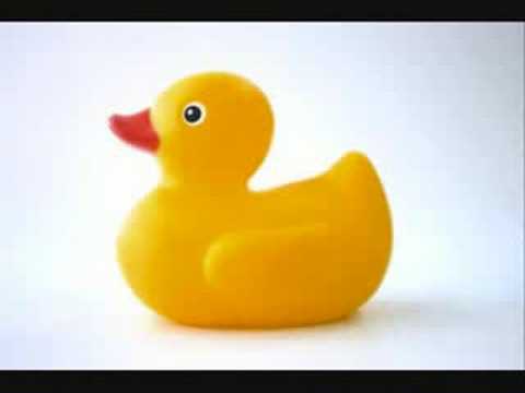 Rubber Duck Song