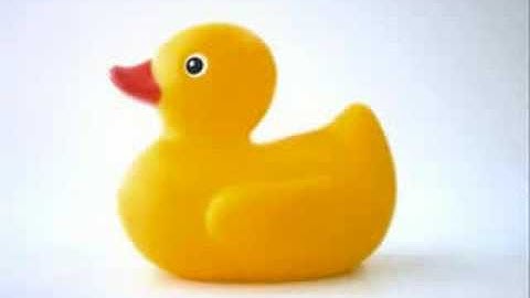 Rubber Duck Song