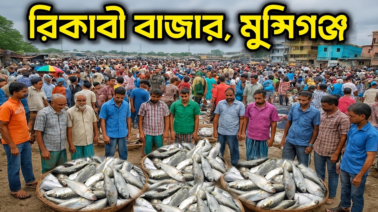 মুন্সিগঞ্জের বৃহত্তম পাইকারি ইলিশের আড়ৎ রিকাবী বাজার। কমদামে ইলিশ কোথায়!Rikabi Bazar munshiganj. 