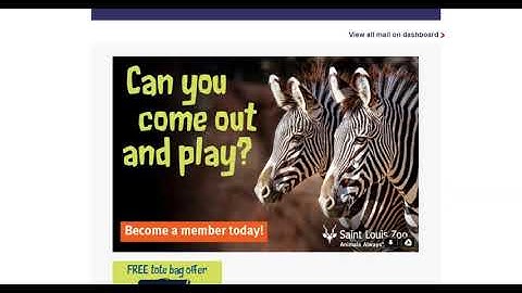 First Informed Delivery Interactive Campaign Live in the Wild