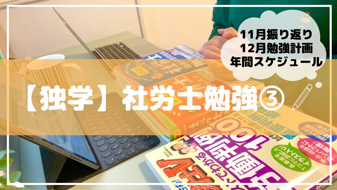 【独学】社労士勉強③ l 11月上旬振り返り l 11月下旬〜12月上旬勉強スケジュール l 年間スケジュール l 勉強のポイント4選