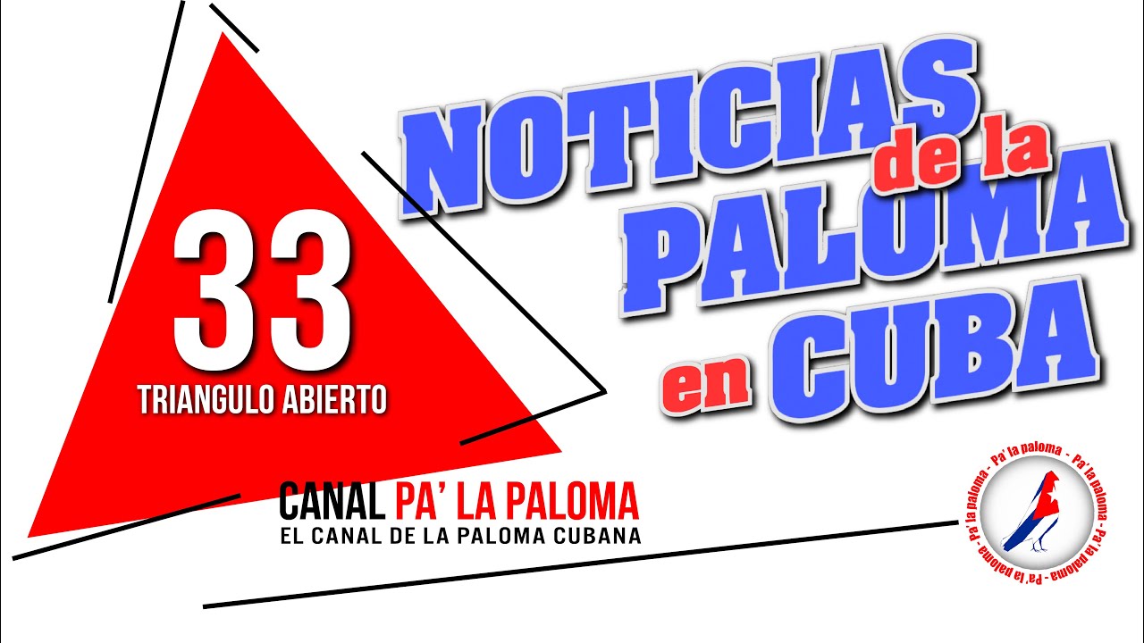 TRIANGULO ABIERTO. NOTICIAS Y ACTUALIDAD DE LA PALOMA. EMISION 33