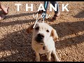 Holzl Homes Dog Days Of Summer Event