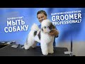 Почему стоит мыть собаку шампунем-концентратом GROOMER professional? Посмотрите на результат!