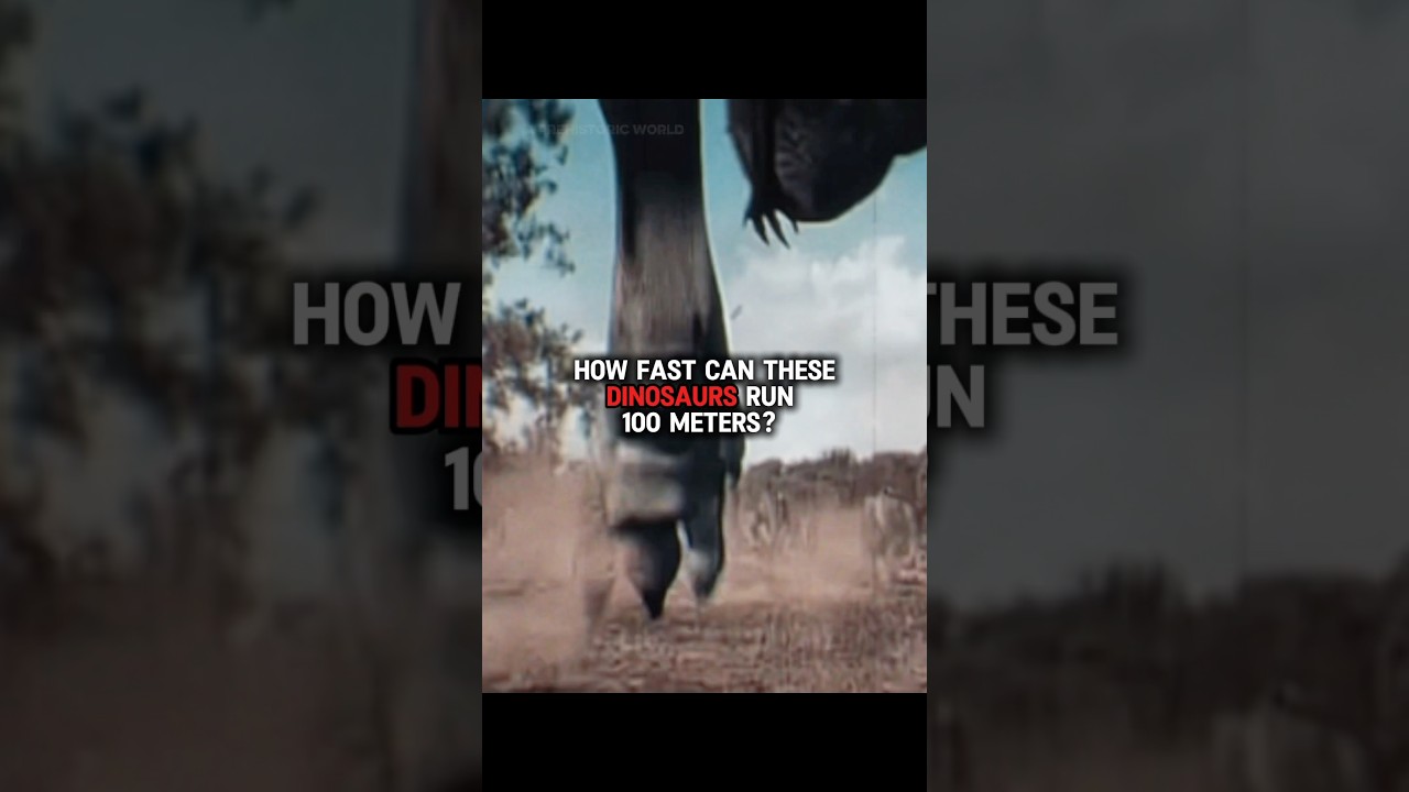 How fast were the Dinosaurs? 