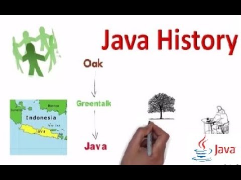 History of java, Who is founder of Java . Why they choose java