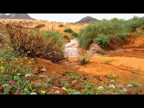 شيلة اللابة اليامية أداء صالح الهمامي