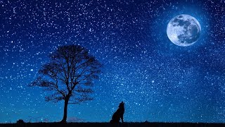 Deeply Relaxing Healing Sleep Music, Calming Heavenly Sleep, Peaceful Reiki Music, Deep Calm ★ 30