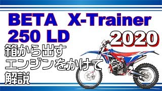 【ＢＥＴＡ X-Trainer250LD】2020初心者にも乗りやすいローダウン仕様車がでました