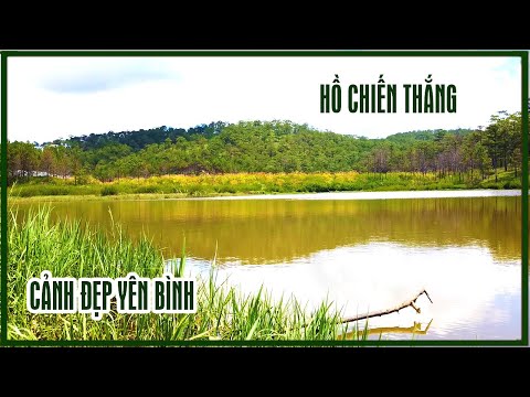 Video Ngất ngây cảnh bình yên, rừng thông reo trong gió, Hồ... - youtube