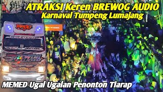 Memed Bars Auto Panic Attraction Of The Brewog Troop On The Red Carpet Of The Lumajang Tumpe