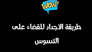 وصفة قديييمة❕بذور البصل🧅🧅لتسوس الأسنان🦷🦷🦷 screenshot 4